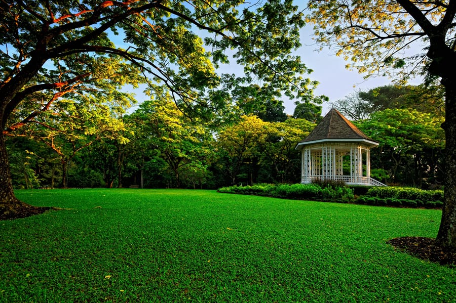 Botanical Carden - Singapore