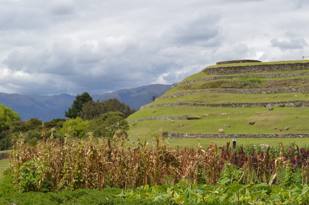 Inca terraces at the Pumapungo ruins in Cuenca