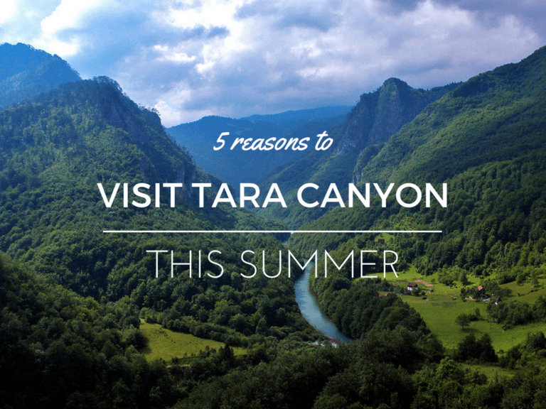 5 Reasons to Visit Tara Canyon This Summer