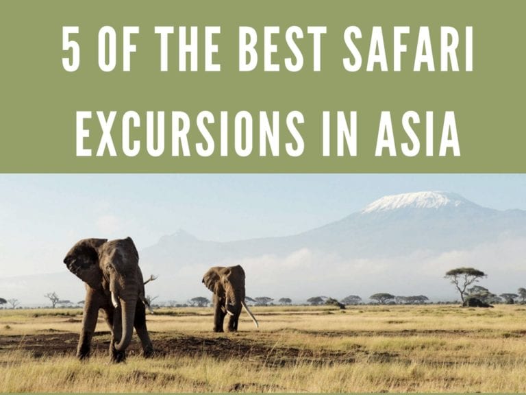 safari india