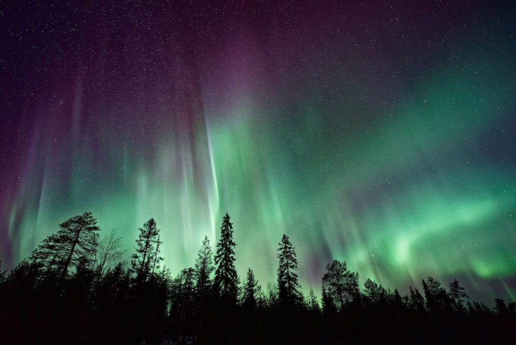 Northern Lights glowing over the Alaskan wilderness at night
