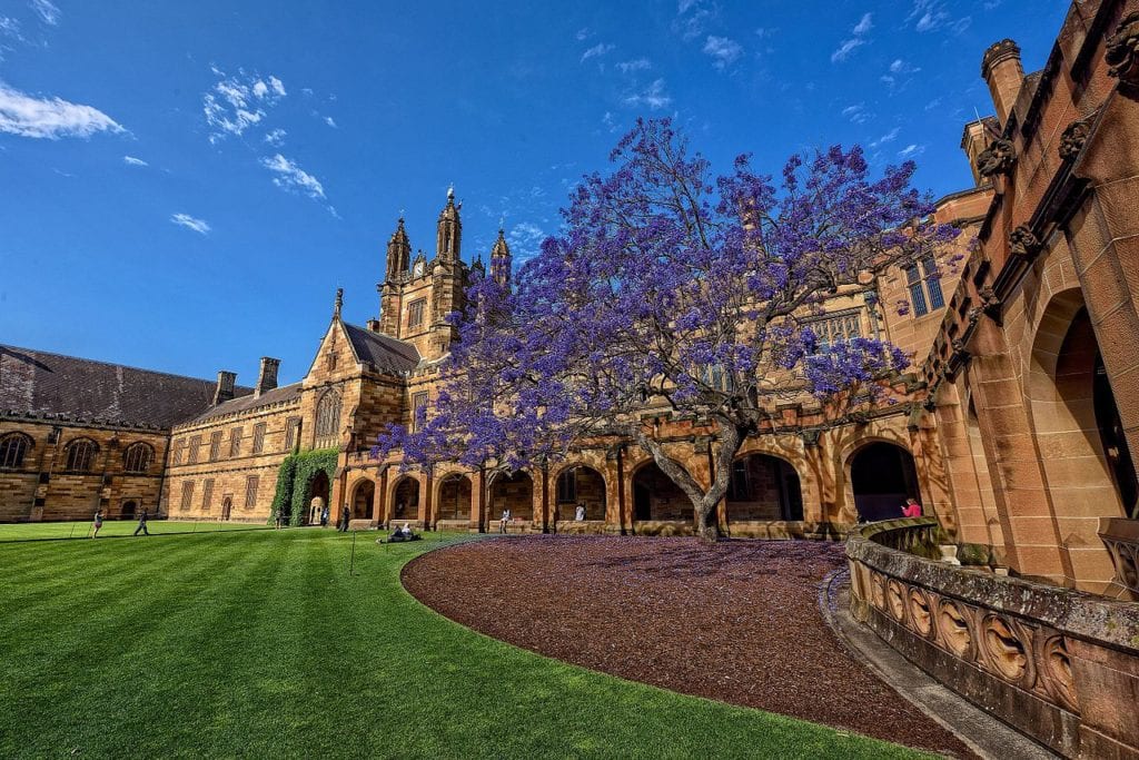 The Absolute Beauty of Sydney’s Jacaranda Trees