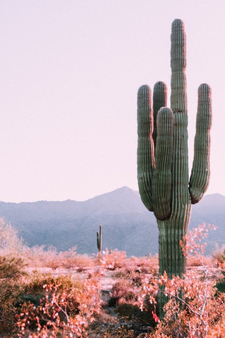 Unexplored American States You Have to Visit