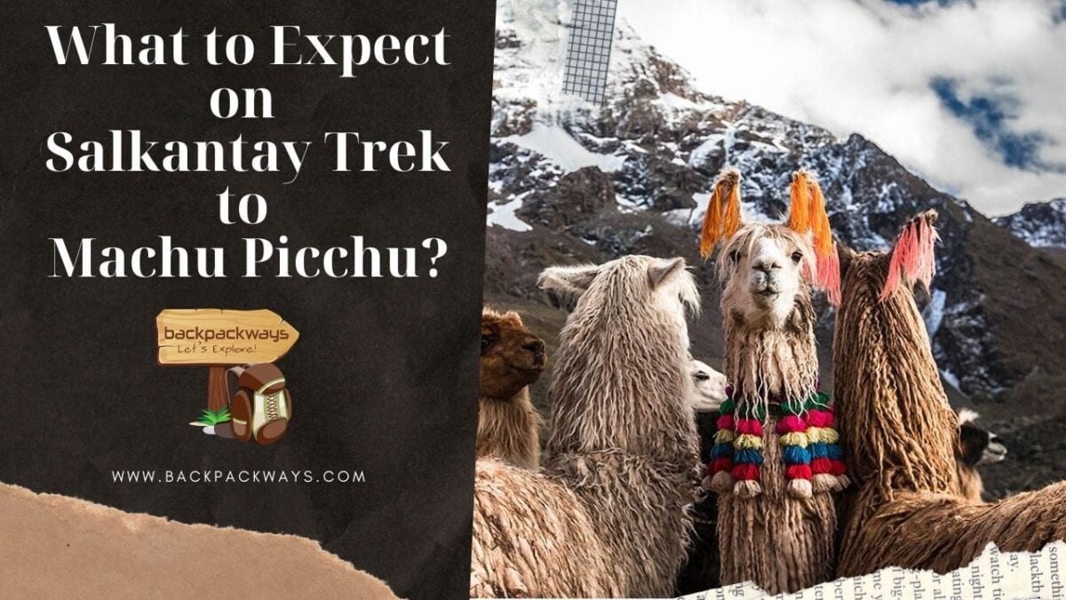 What to Expect on Salkantay Trek to Machu Picchu?