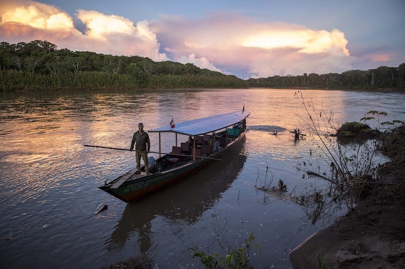 Manu Amazon jungle, Peru