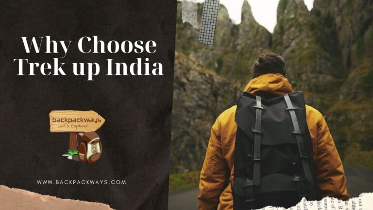 Why Choose Trek up India for the Best Trekking Experience