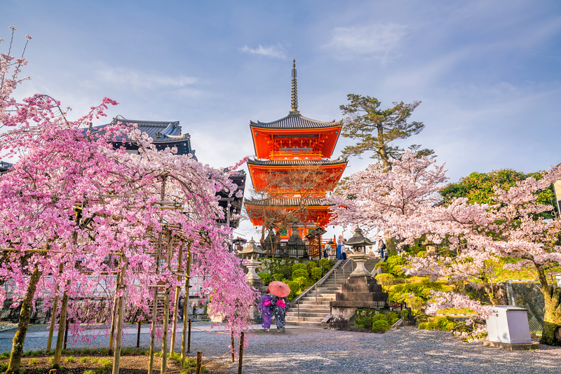 Traveller in Japan using top Japan travelling sites to plan a hassle-free trip