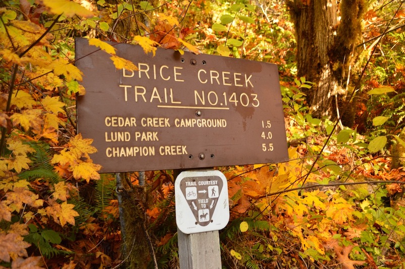 Brice Creek Trail