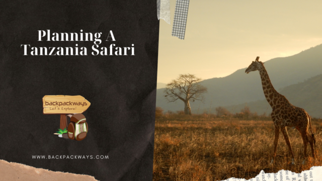Planning A Tanzania Safari